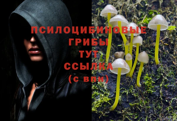 прущая мука Армянск