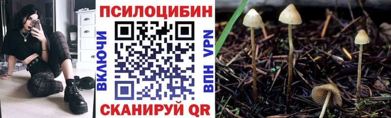 Псилоцибиновые грибы MAGIC MUSHROOMS  Купить  Сланцы 